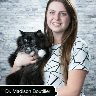 Dr. Madison Boutilier, DVM