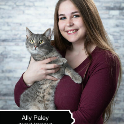 Ally Paley